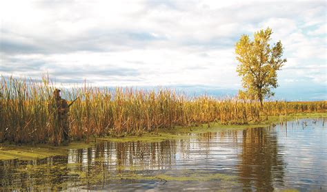South dakota Nonresident Waterfowl .